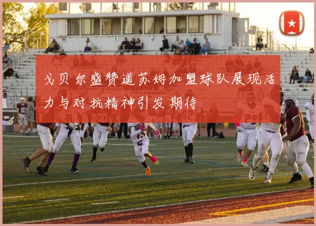 戈贝尔盛赞道苏姆加盟球队展现活力与对抗精神引发期待