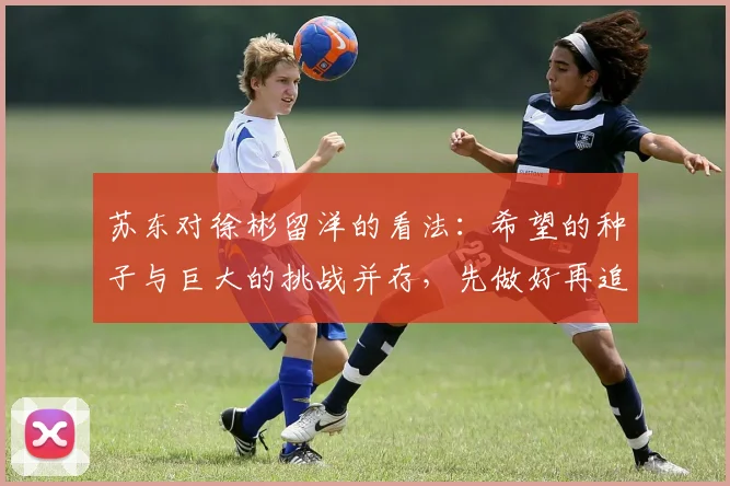 苏东对徐彬留洋的看法：希望的种子与巨大的挑战并存，先做好再追求完美